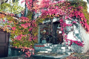 東南亞風(fēng)情現(xiàn)代園林有什么？