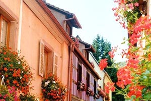 去越南美奈旅游注意事項(越南美奈旅游景點)