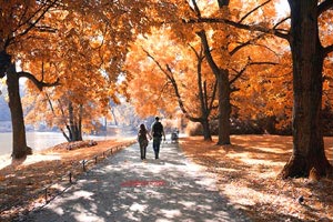 焦作旅游年票游云臺山(焦作市云臺山年票)