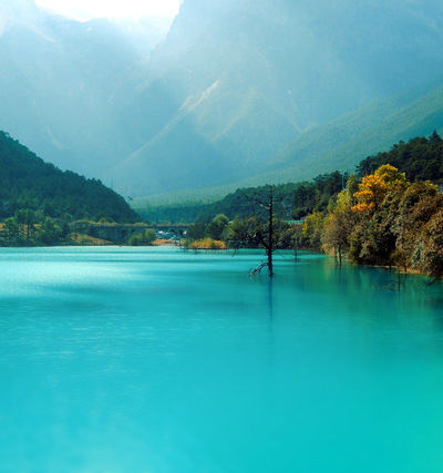 1月份推薦一個國內(nèi)旅游的地方