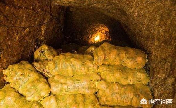 過(guò)年必須吃什么菜？